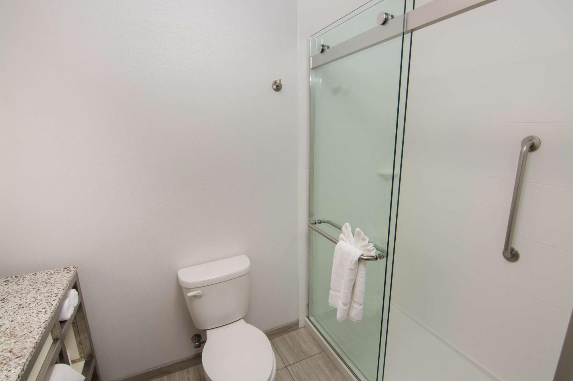 Hotel Hilton Garden Tampa Suncoast Parkway