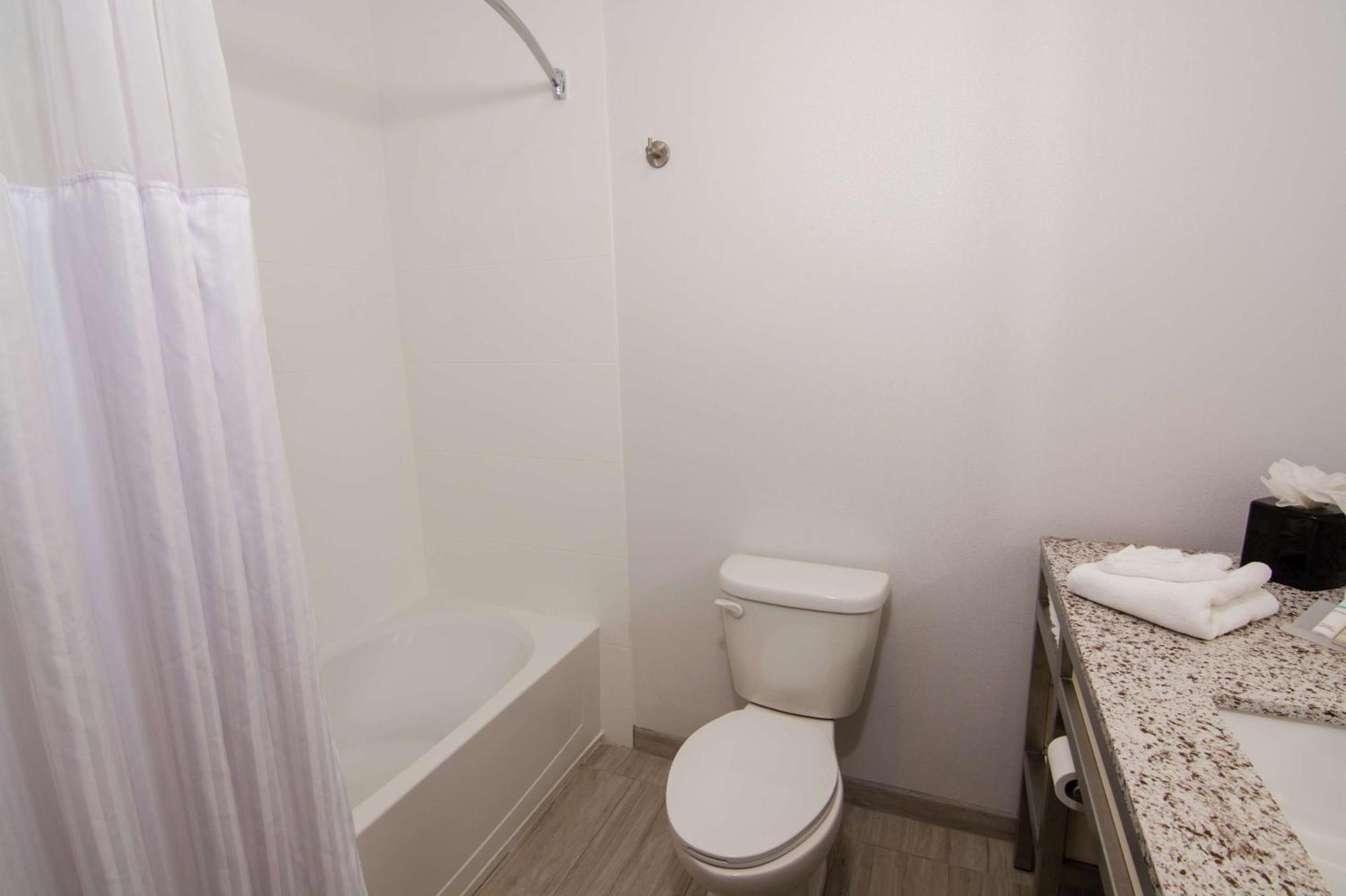 Hotel Hilton Garden Tampa Suncoast Parkway 3*