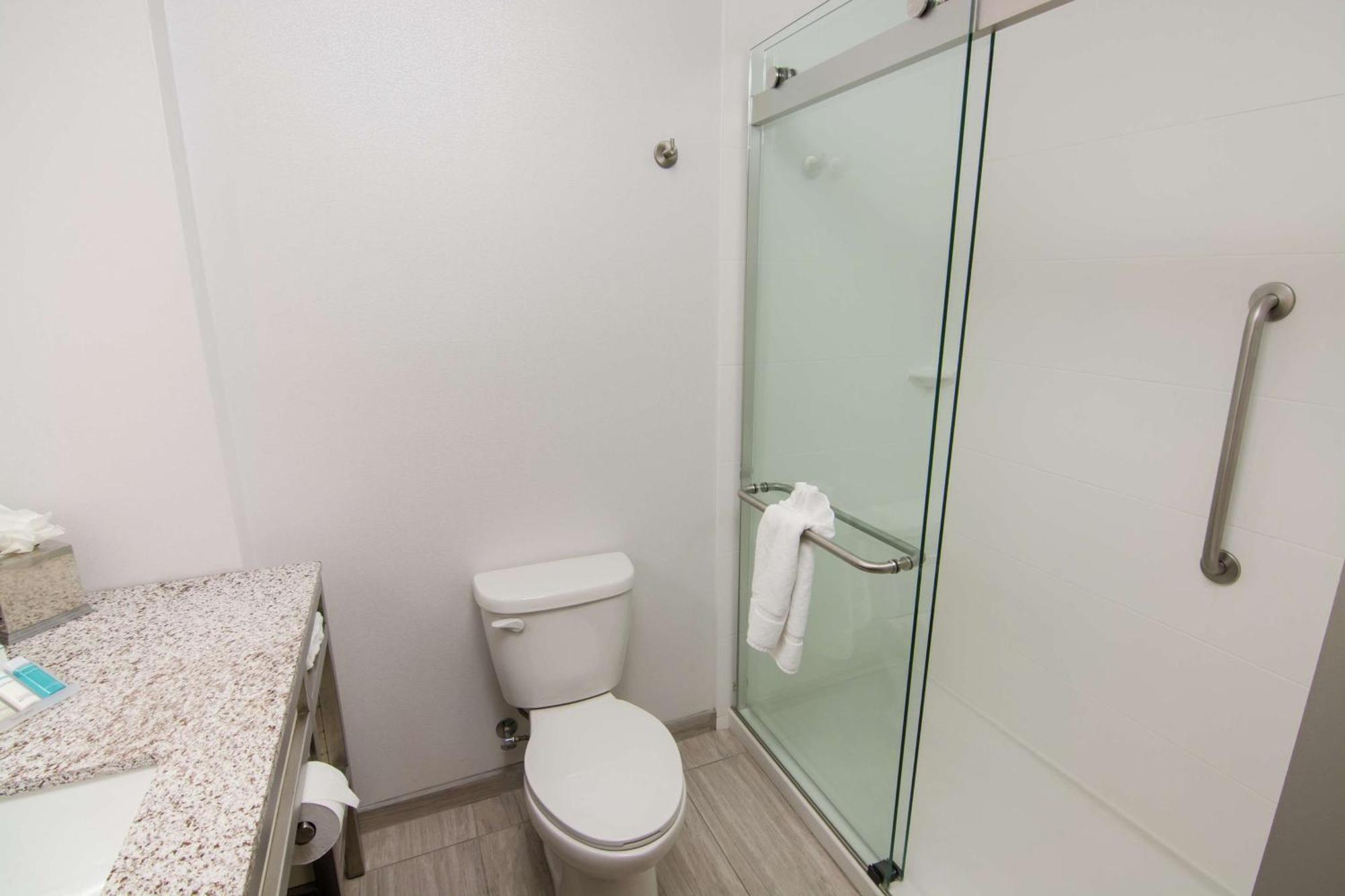 Hotel Hilton Garden Tampa Suncoast Parkway